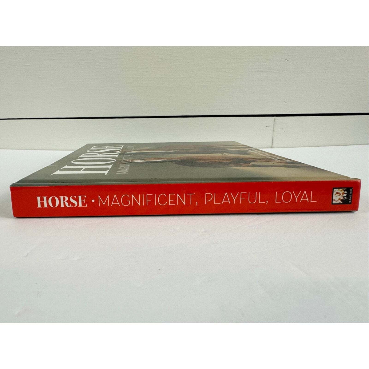 Horse: Magnificent, Playful, Loyal (Hardcover) - Image 3