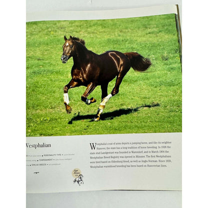 Horse: Magnificent, Playful, Loyal (Hardcover) - Image 10