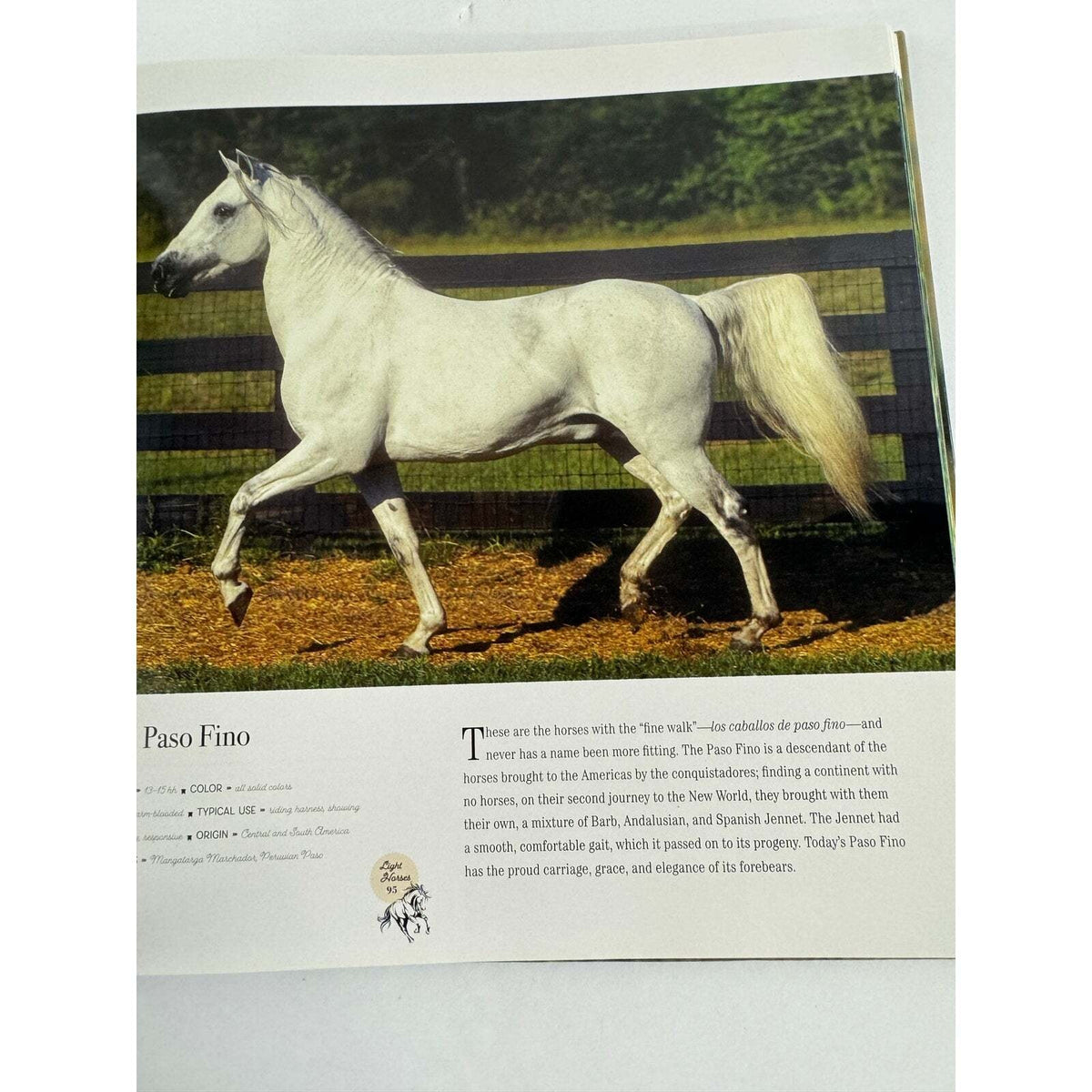 Horse: Magnificent, Playful, Loyal (Hardcover) - Image 11