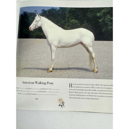 Horse: Magnificent, Playful, Loyal (Hardcover) - Image 14