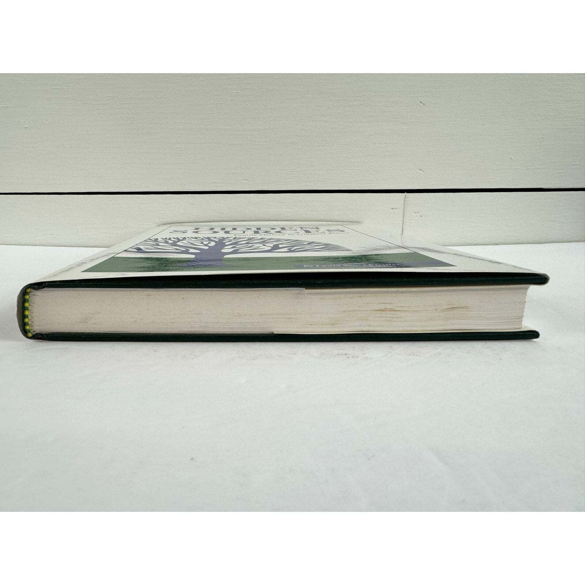 Hidden Sources: Family History in Unlikely Places (Hardcover) - Image 4