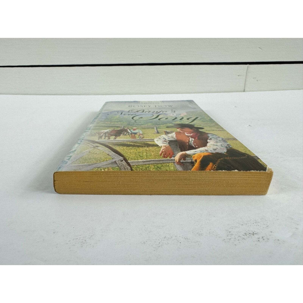 Banjo's New Song by Rosey Dow (Paperback) - Image 4