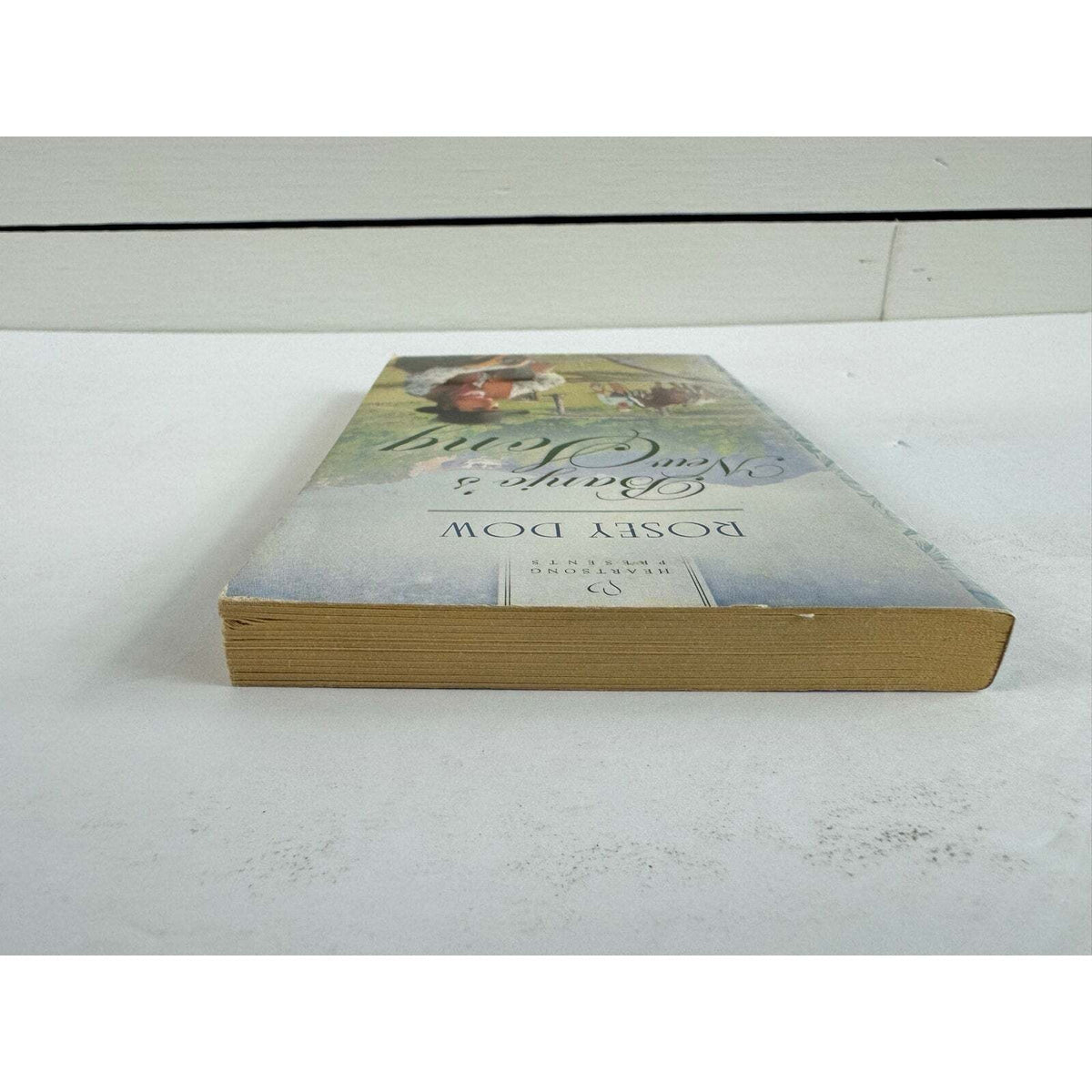 Banjo's New Song by Rosey Dow (Paperback) - Image 6