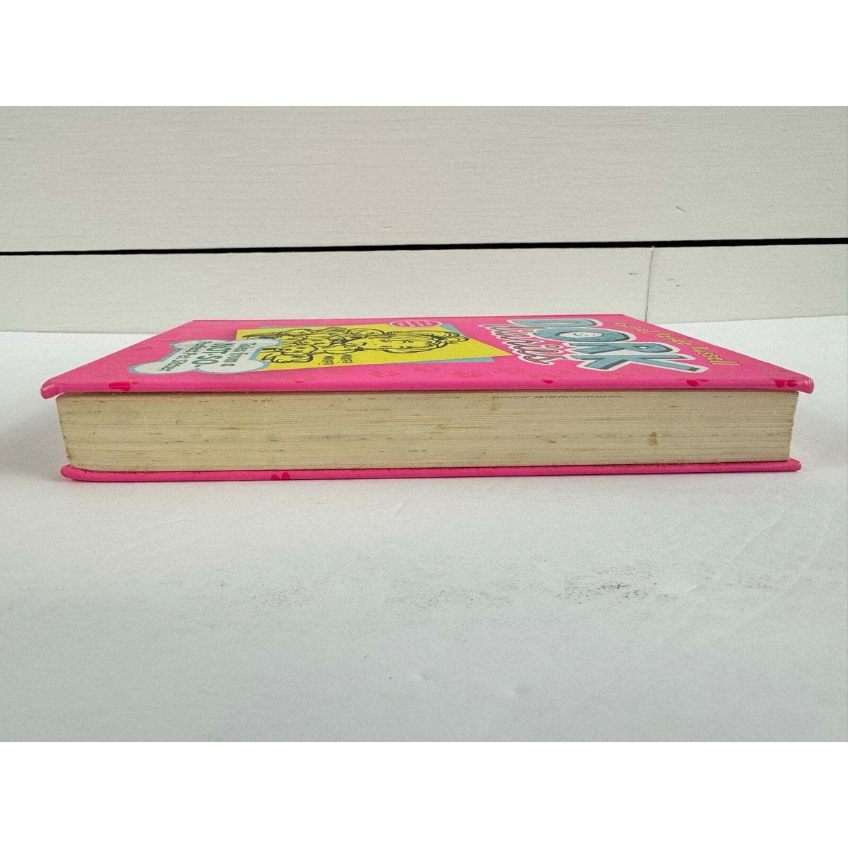 Dork Diaries Tales from a Not-So-Perfect Pet Sitter (Hardcover) - Image 5