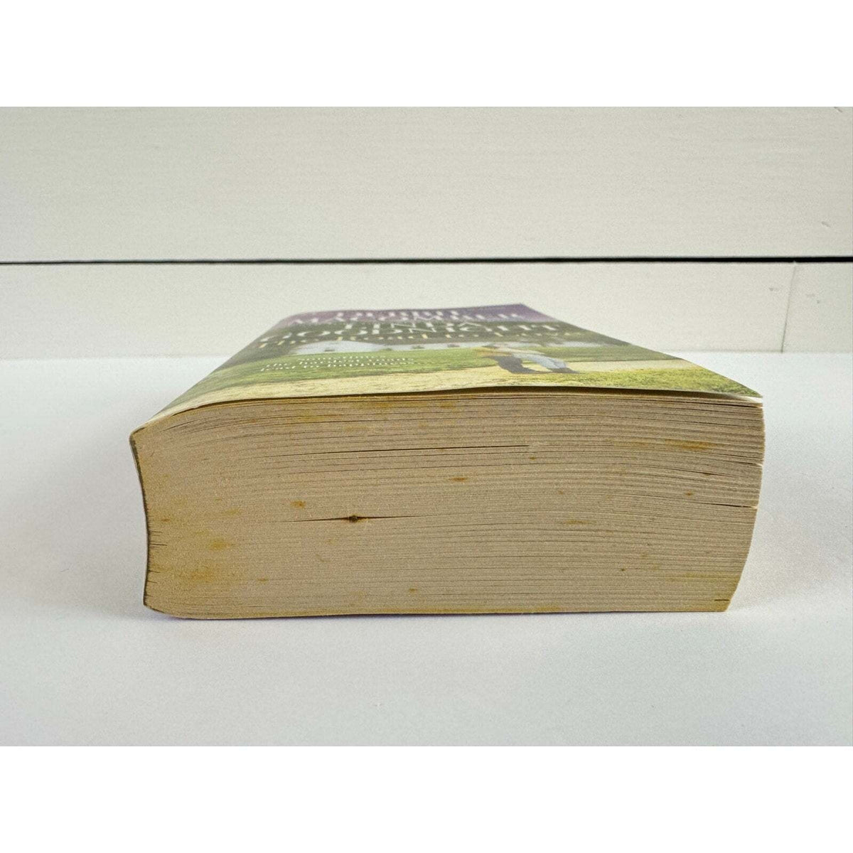 The Road to Love: Love by Degree / The Rain Sparrow (Paperback) - Image 4