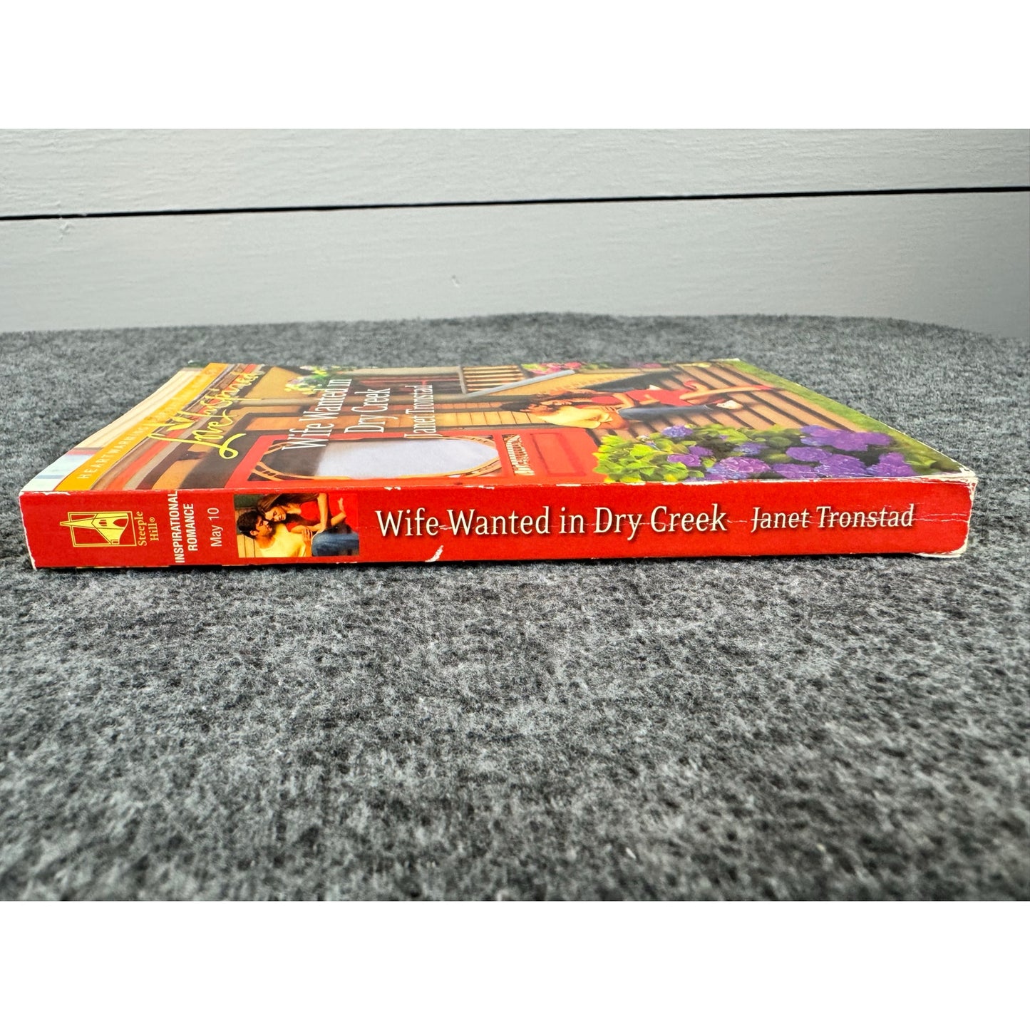 Wife Wanted in Dry Creek by Janet Tronstad (Paperback)