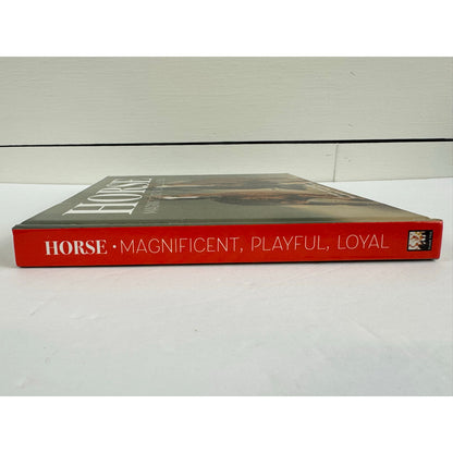 Horse: Magnificent, Playful, Loyal by Catherine Austen (Hardcover)