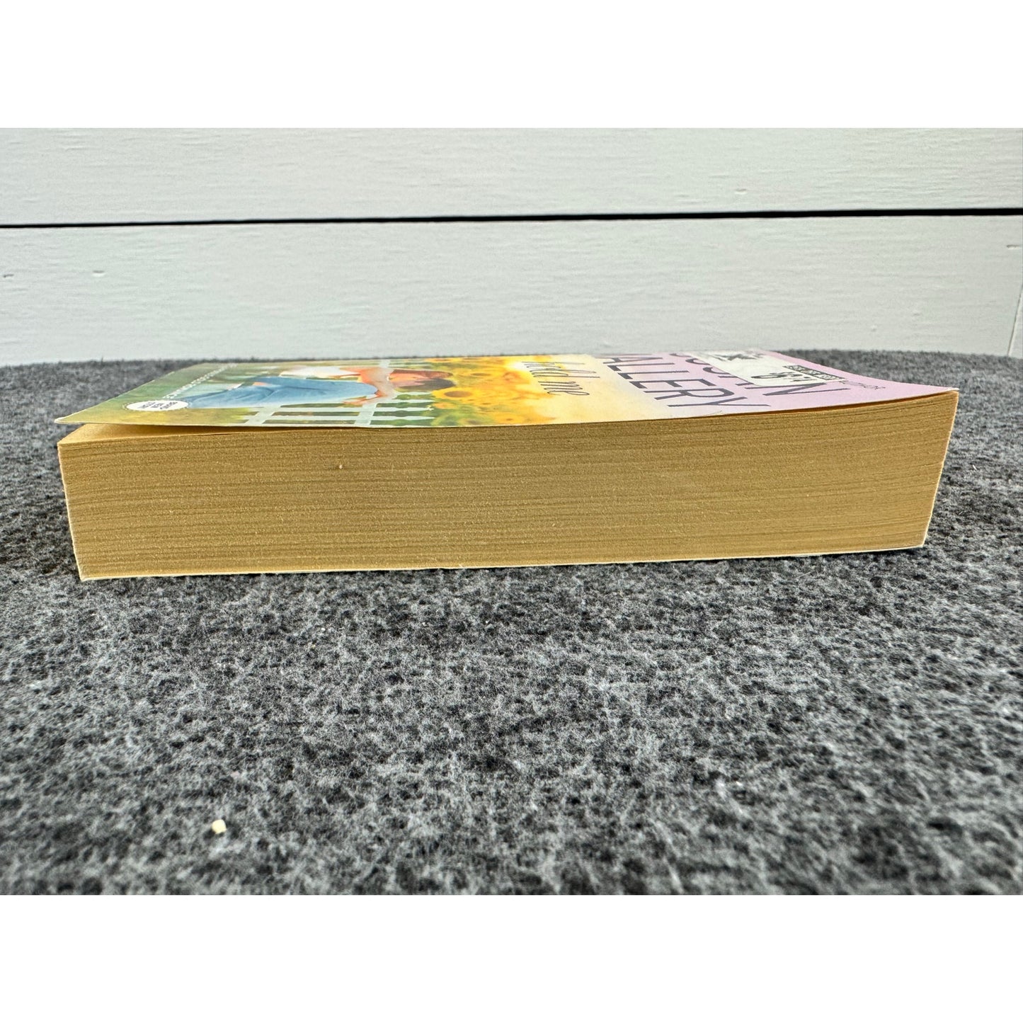 Hold Me by Susan Mallery (Paperback)