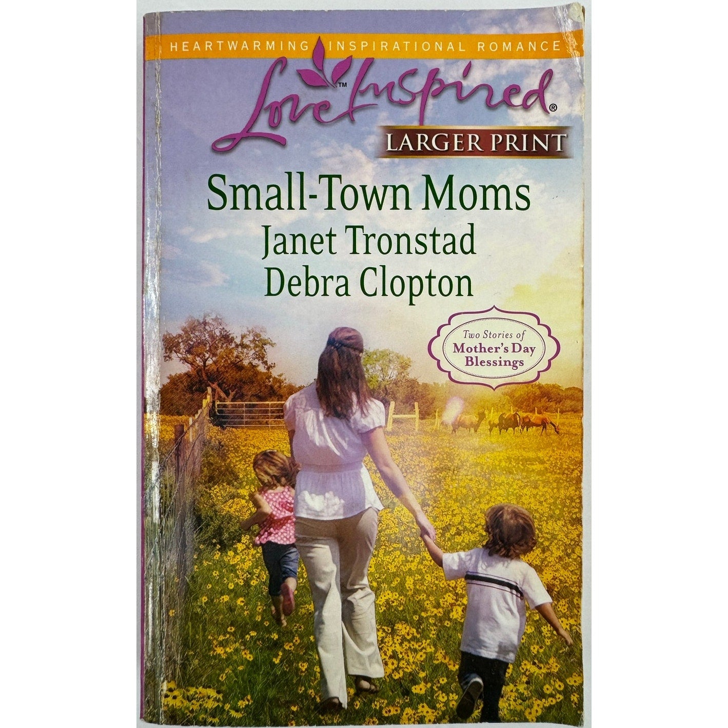 Small Town Moms: A Dry Creek Family / A Mother For Mule Hollow (Paperback)