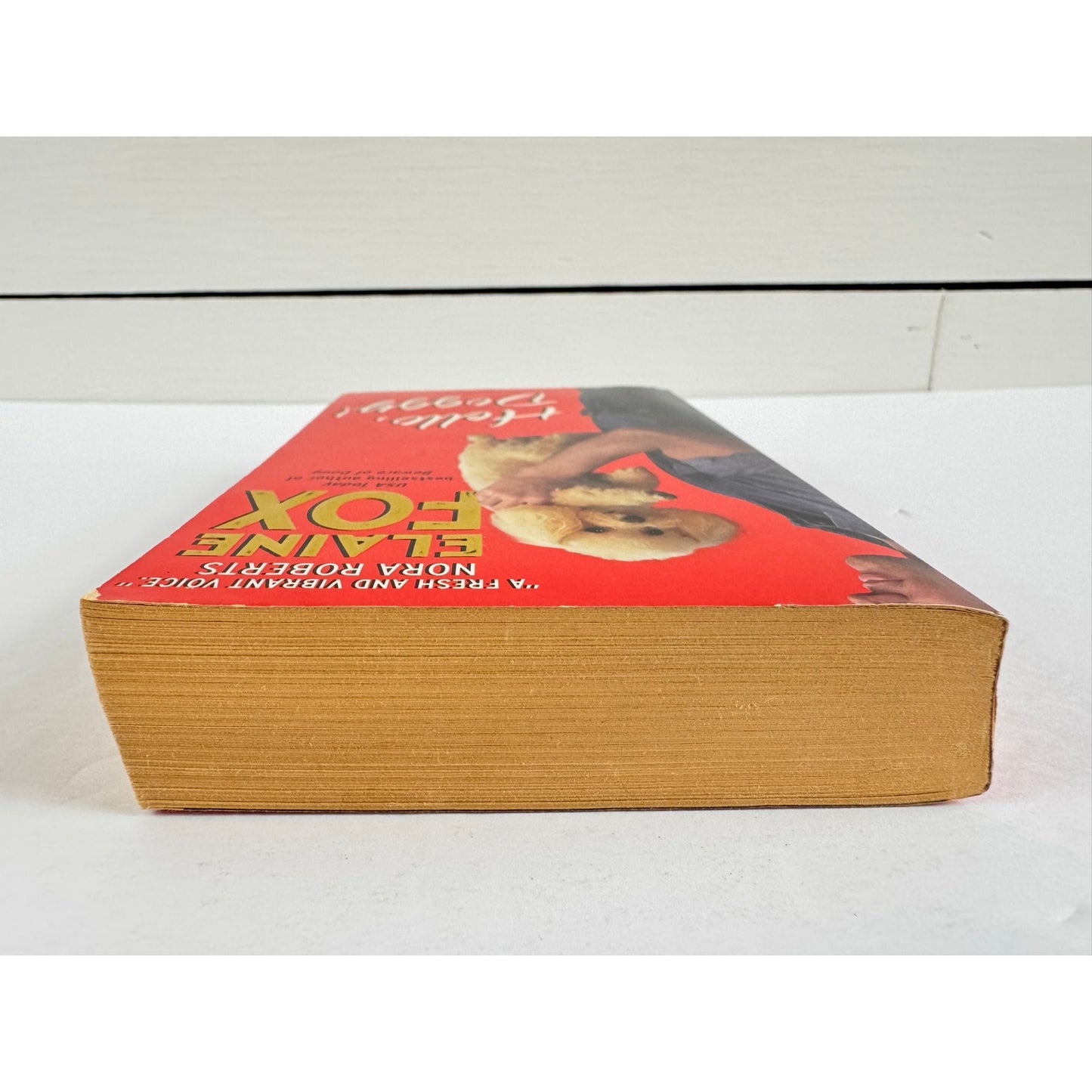 Hello, Doggy! by Elaine Fox (Paperback)