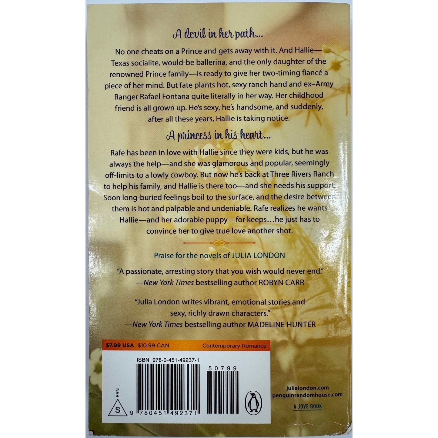 The Devil in the Saddle by Julia London (Paperback)