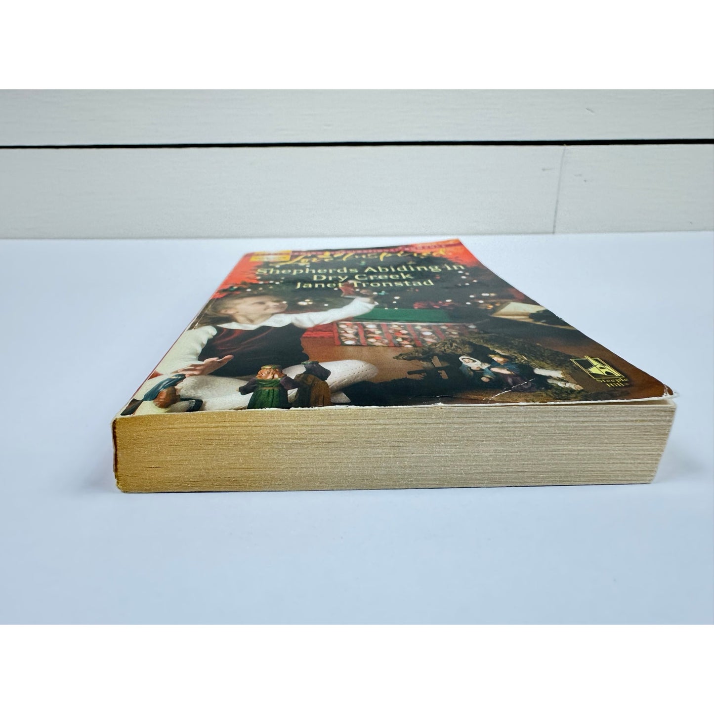 Shepherds Abiding in Dry Creek by Janet Tronstad (Paperback)