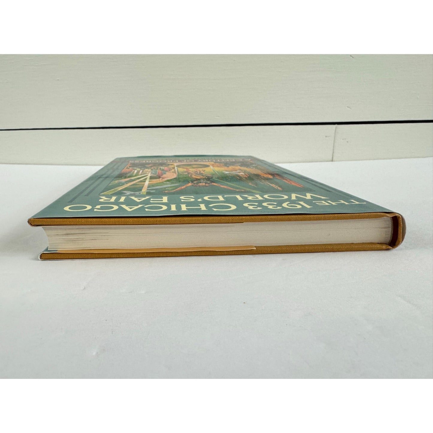 The 1933 Chicago World's Fair by Cheryl R. Ganz (Hardcover)