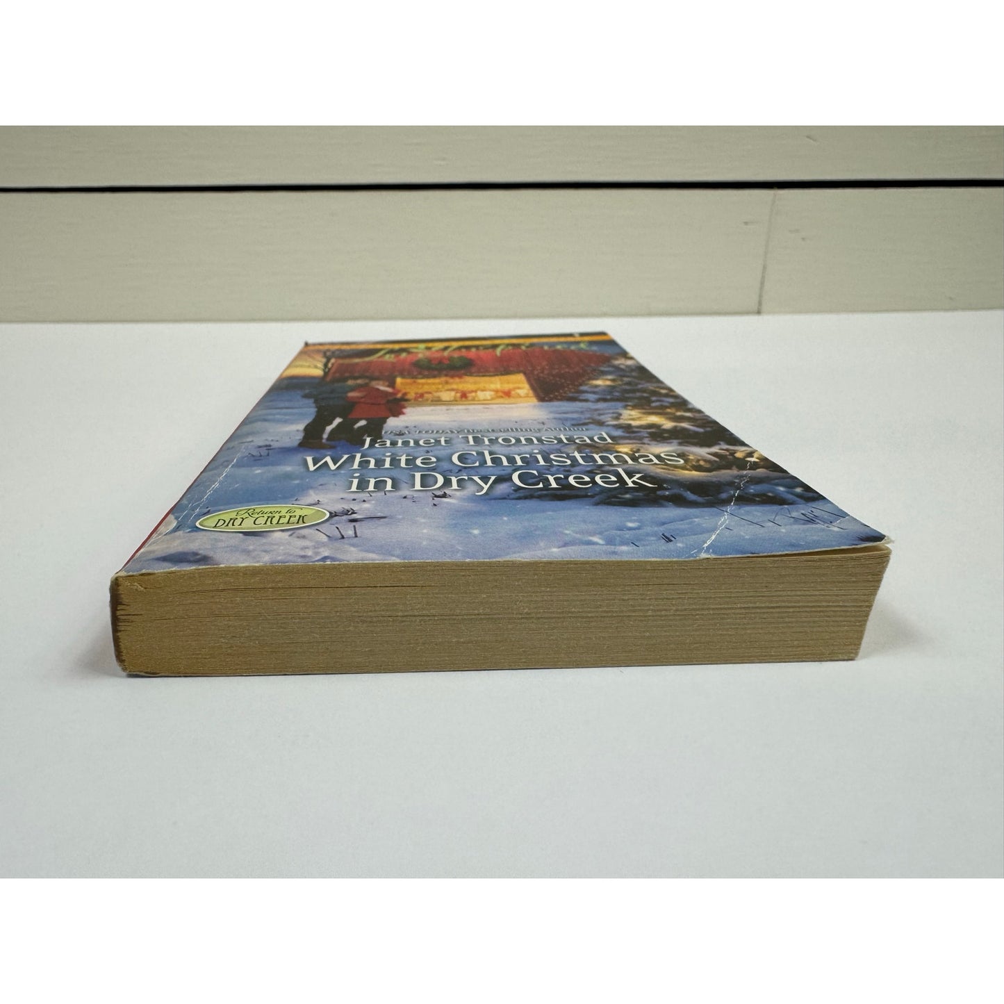 White Christmas in Dry Creek by Janet Tronstad (Paperback)