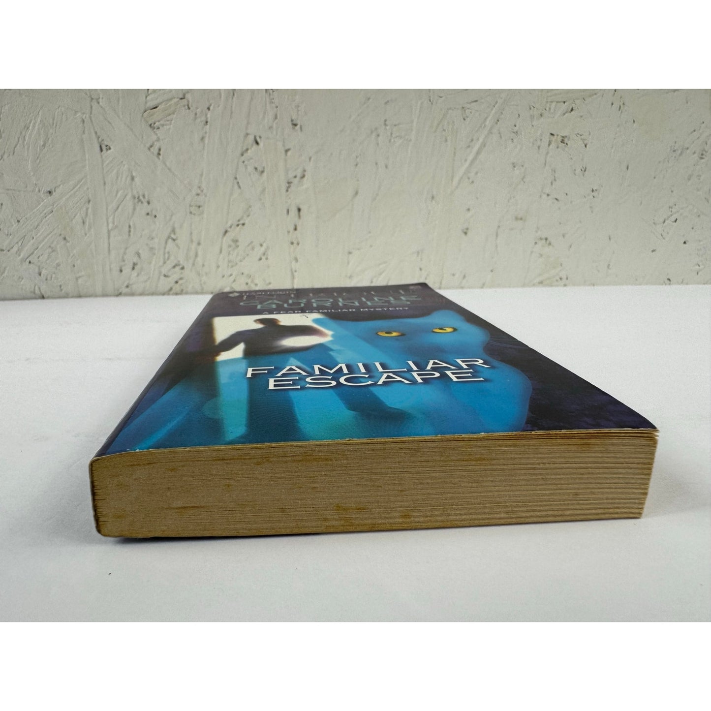 Familiar Escape by Caroline Burnes (Paperback)