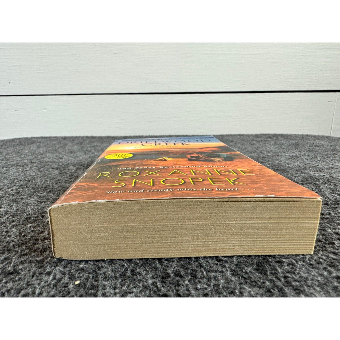 Driftwood Creek by Roxanne Snopek (Paperback)