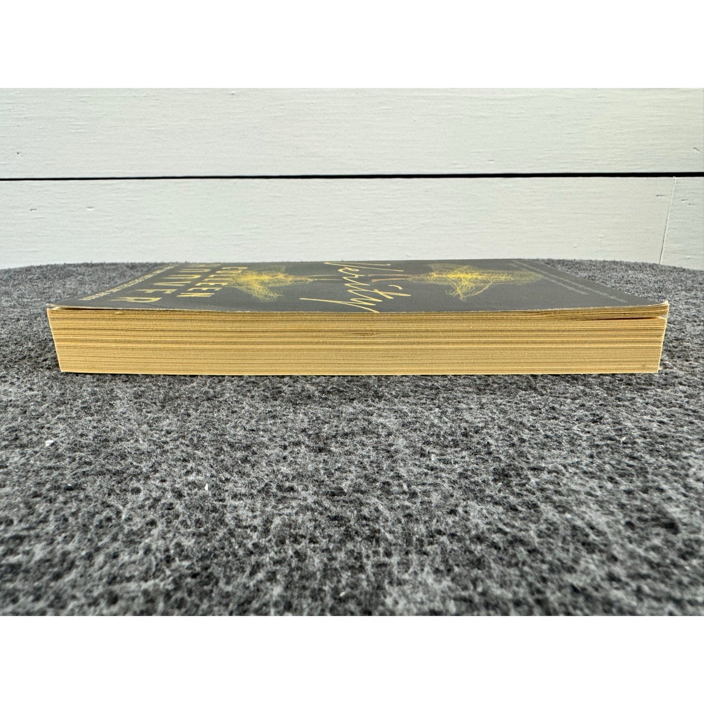 Verity by Colleen Hoover (Paperback)