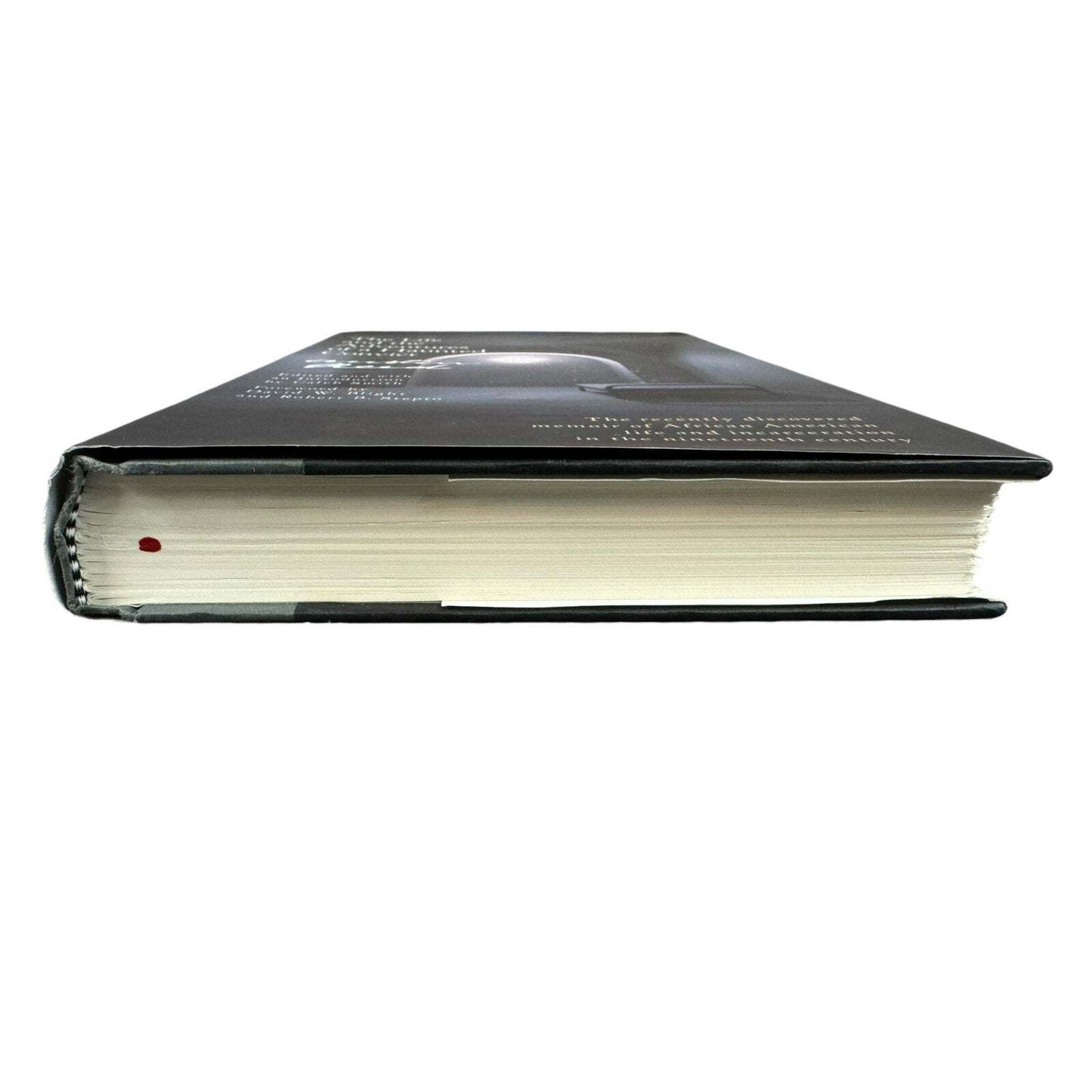 The Life and the Adventures of a Haunted Convict (Hardcover) (First Edition)