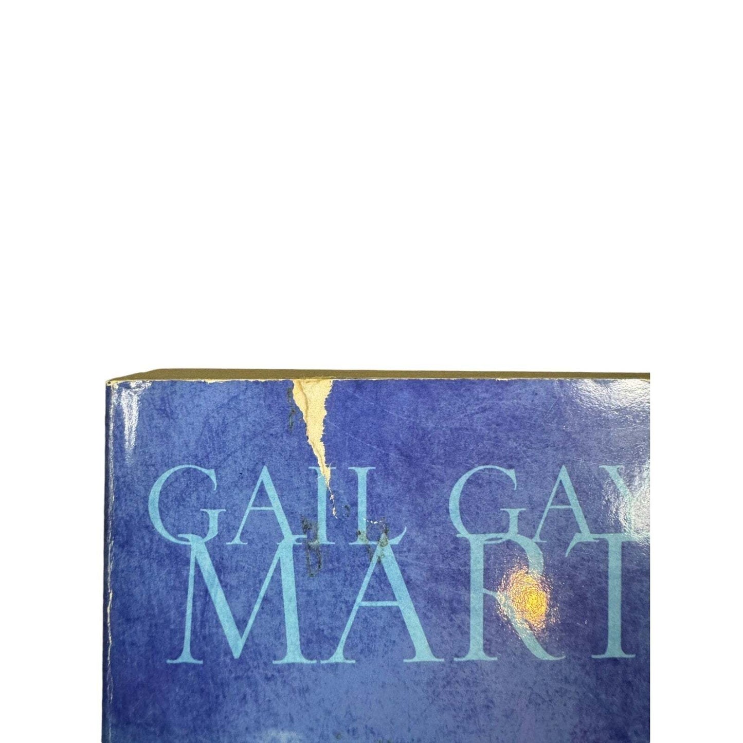 Michigan by Gail Gaymer Martin (Paperback)