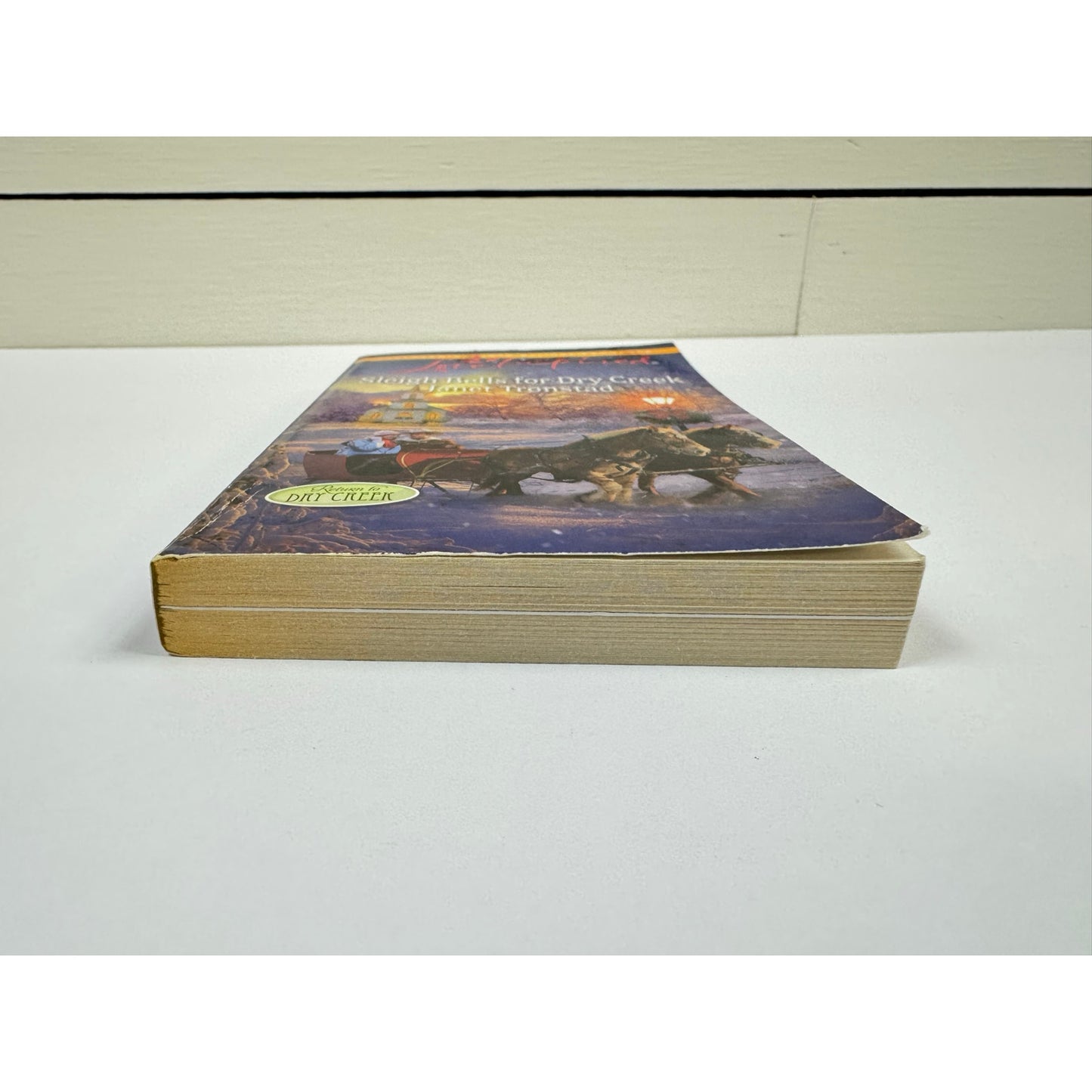 Sleigh Bells for Dry Creek by Janet Tronstad (Paperback)