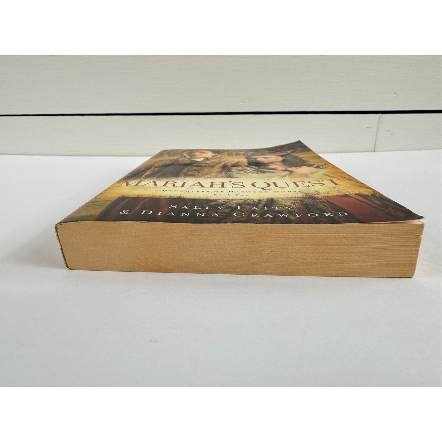 Mariah's Quest by Sally Laity & Dianna Crawford (Paperback)