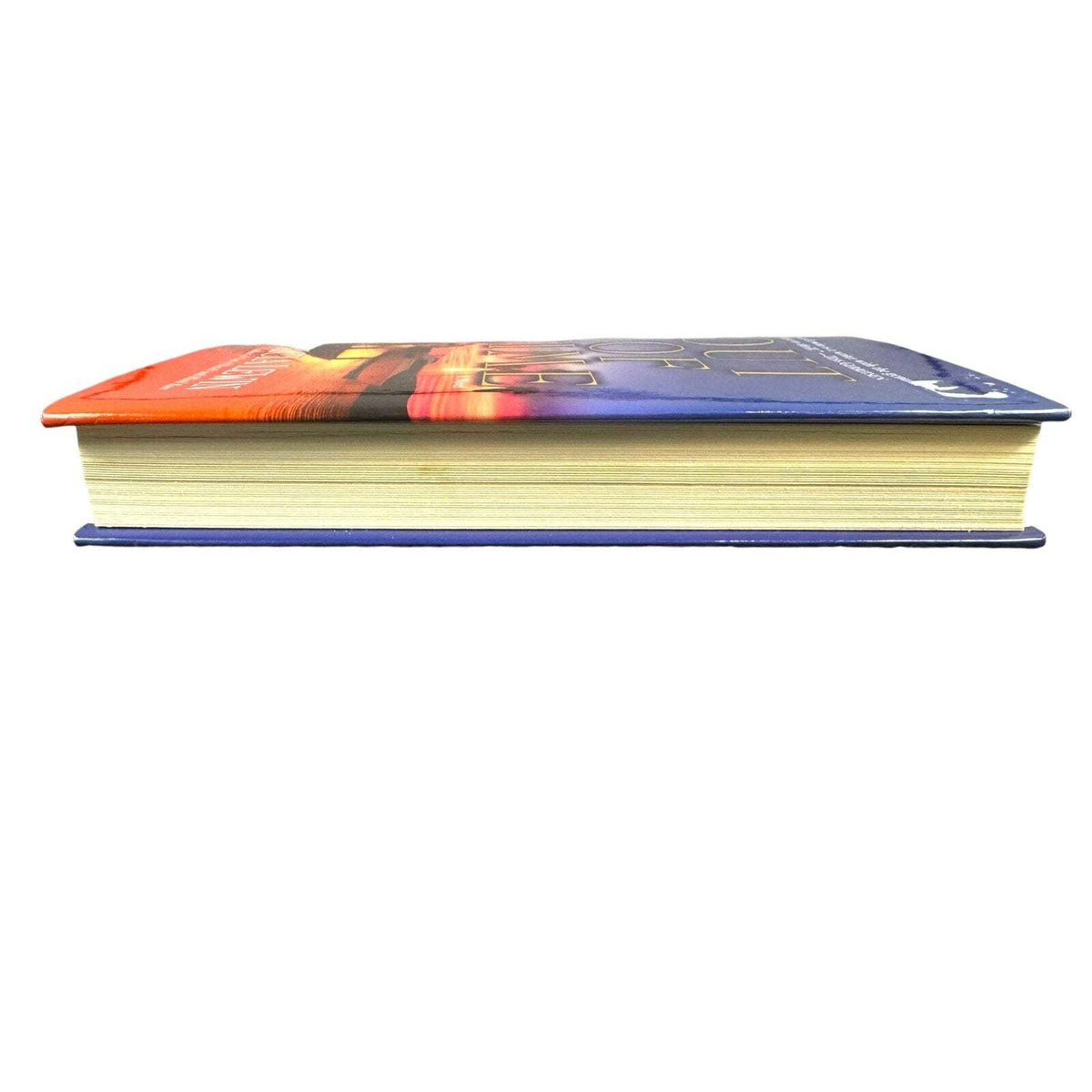 Out of Time by Patricia Lewin (Hardcover)