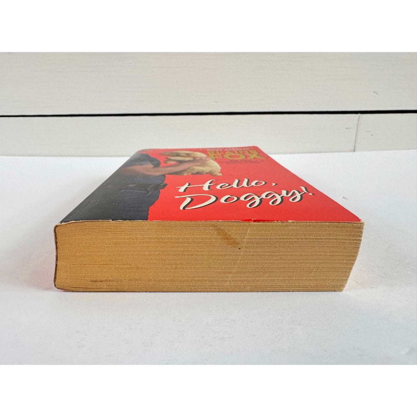 Hello, Doggy! by Elaine Fox (Paperback)