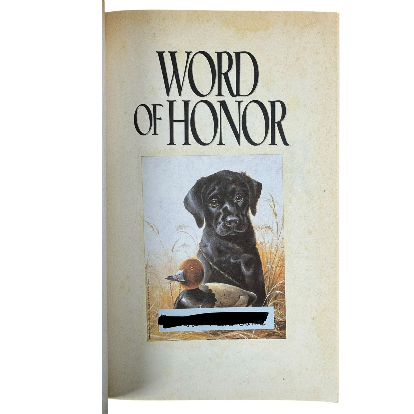 Word of Honor by Terri Blackstock (Paperback)