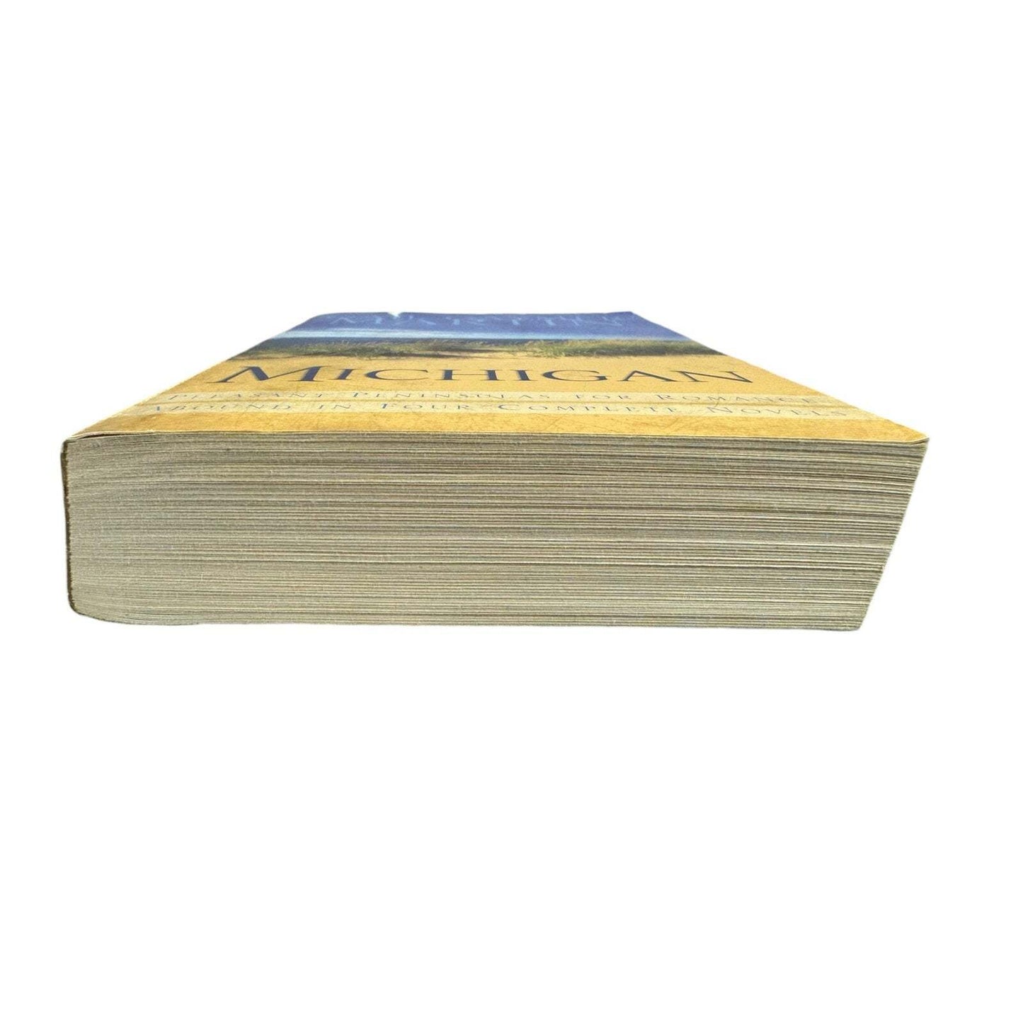 Michigan by Gail Gaymer Martin (Paperback)