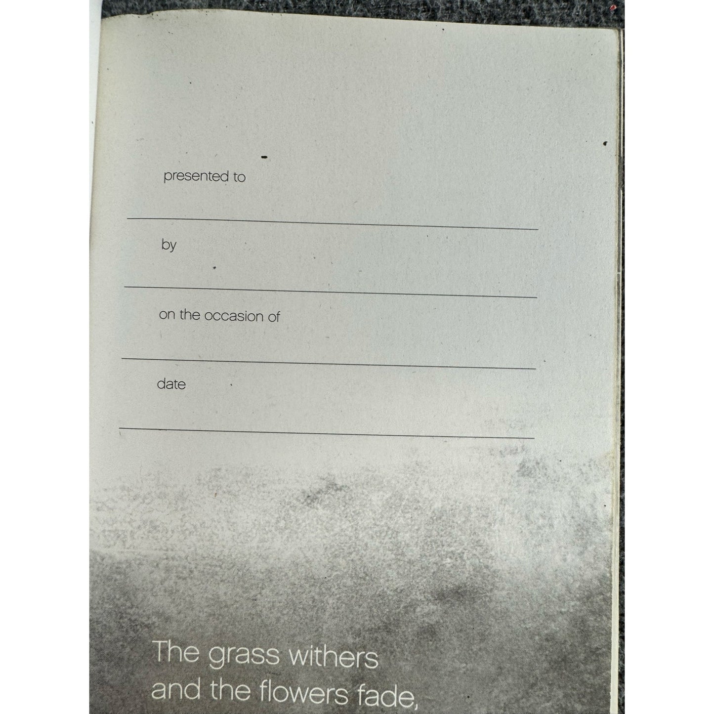 New Believer's Bible-New Testament by Anonymous (Paperback)