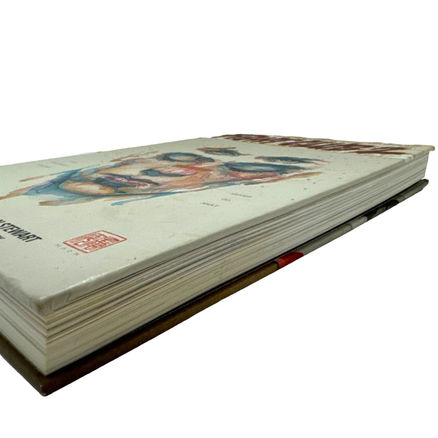 Fight Club 2 by Palahniuk & Stewart (Hardcover)