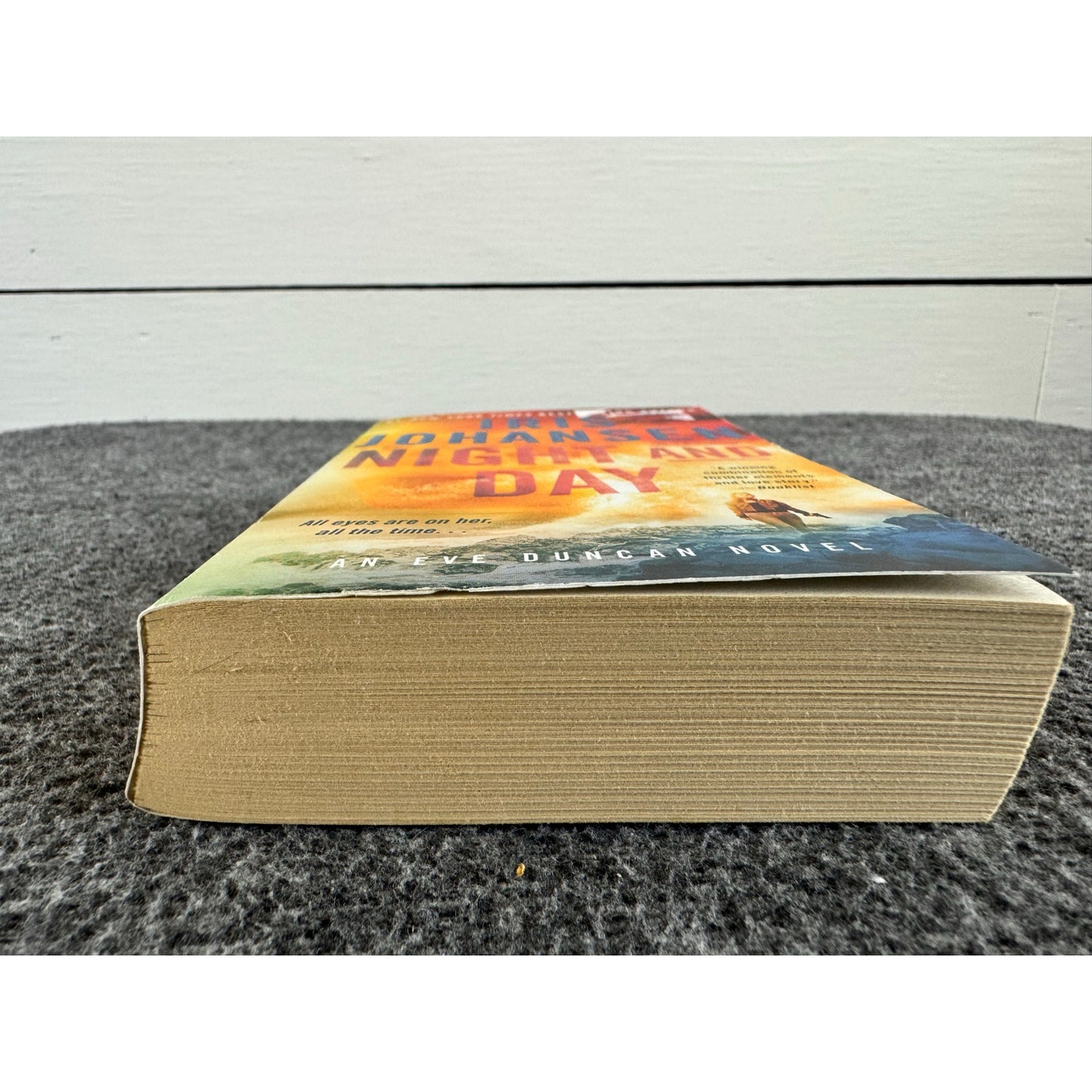 Night and Day by Iris Johansen (Paperback)