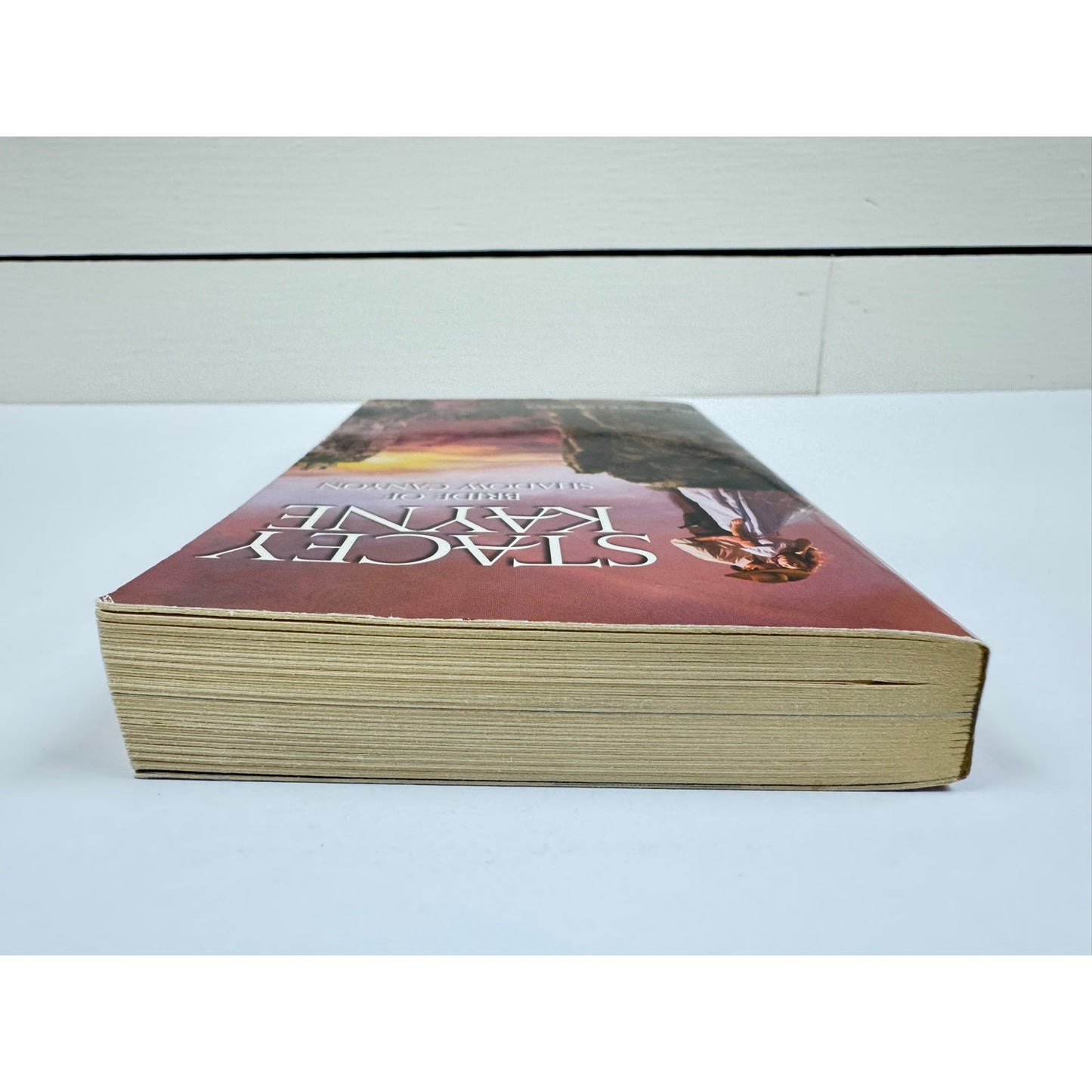 Bride of Shadow Canyon by Stacey Kayne (Paperback)