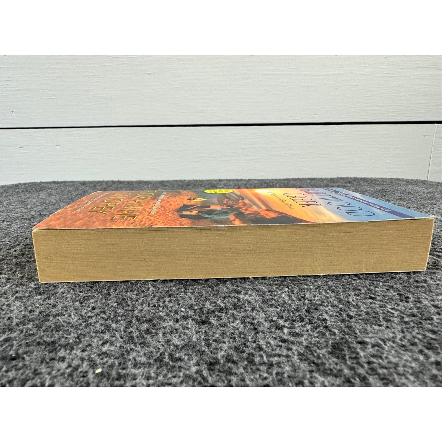 Driftwood Creek by Roxanne Snopek (Paperback)