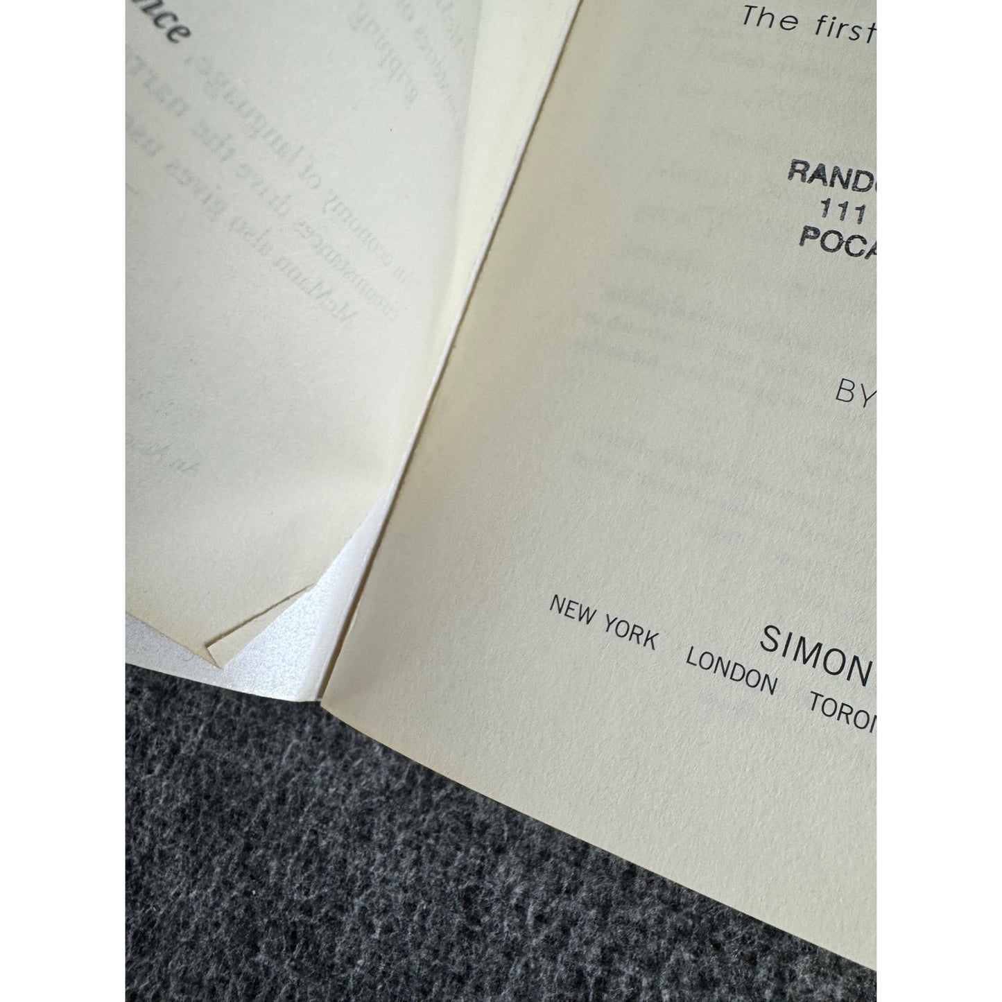 Wake by Lisa McMann (Paperback)