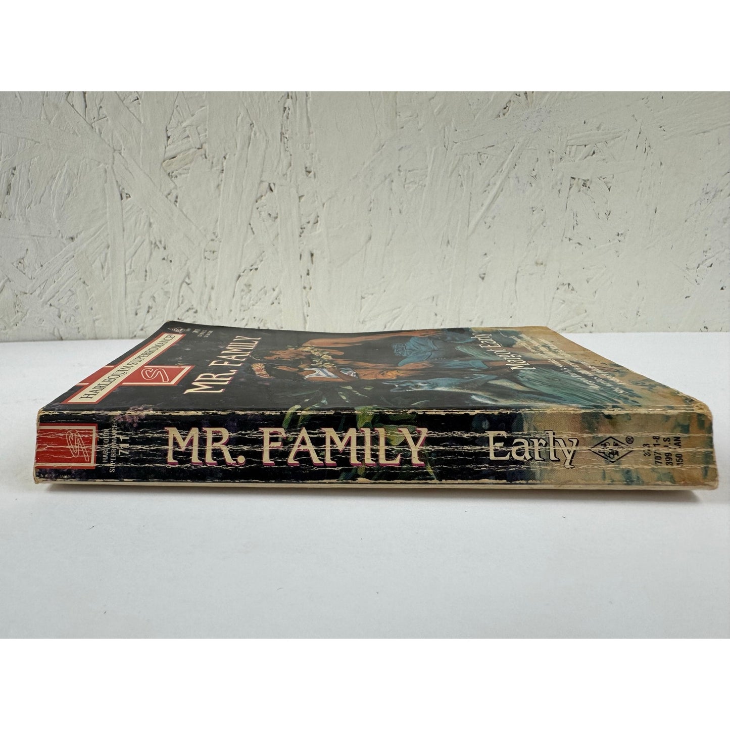 Mr. Family by Margot Early (Paperback)