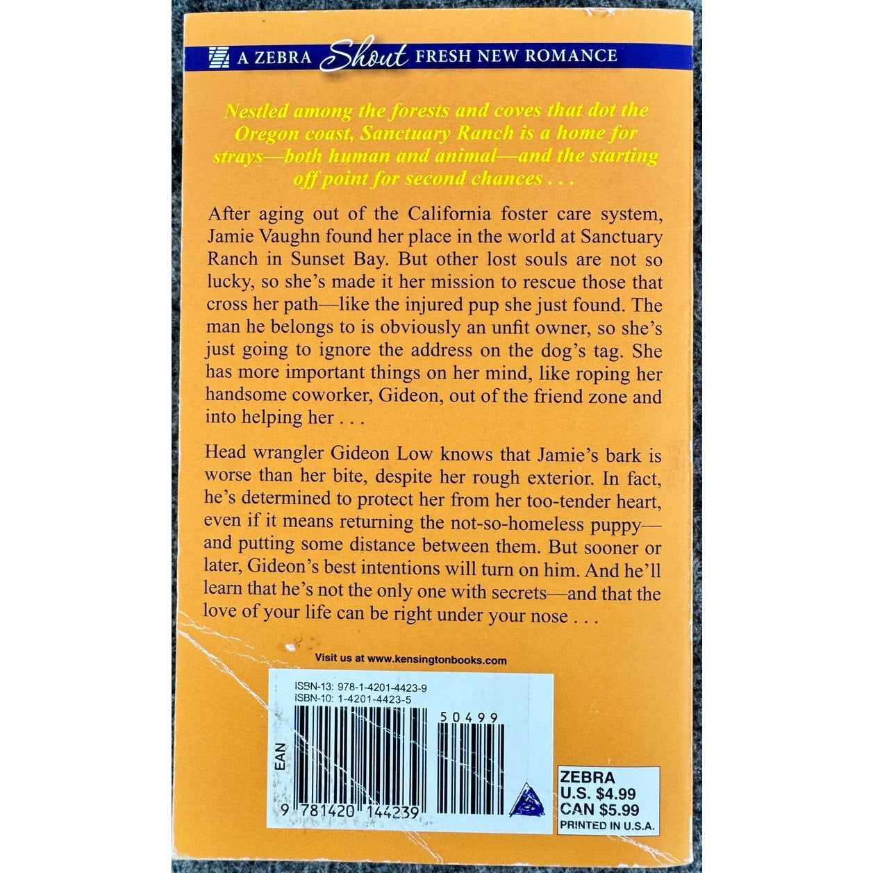 Driftwood Creek by Roxanne Snopek (Paperback)