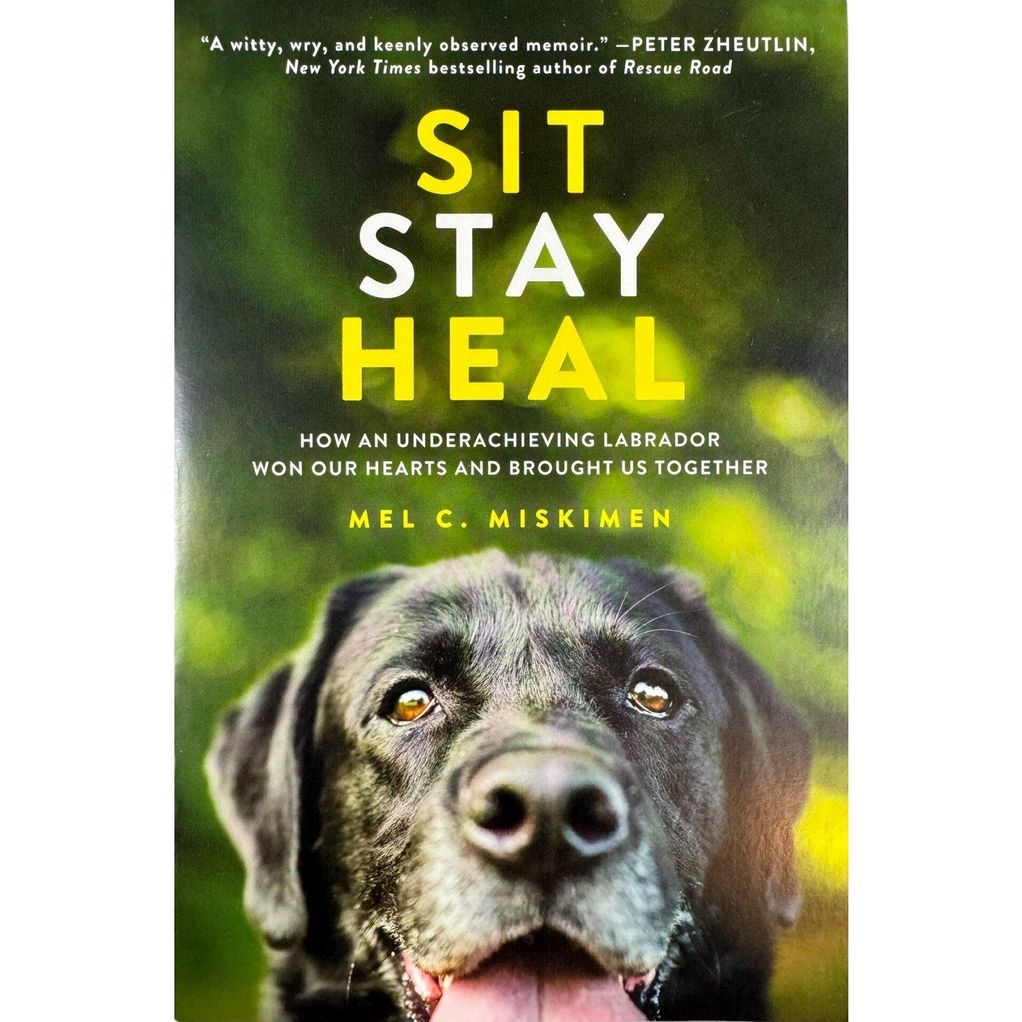 Sit Stay Heal by Mel C. Miskimen (Paperback)