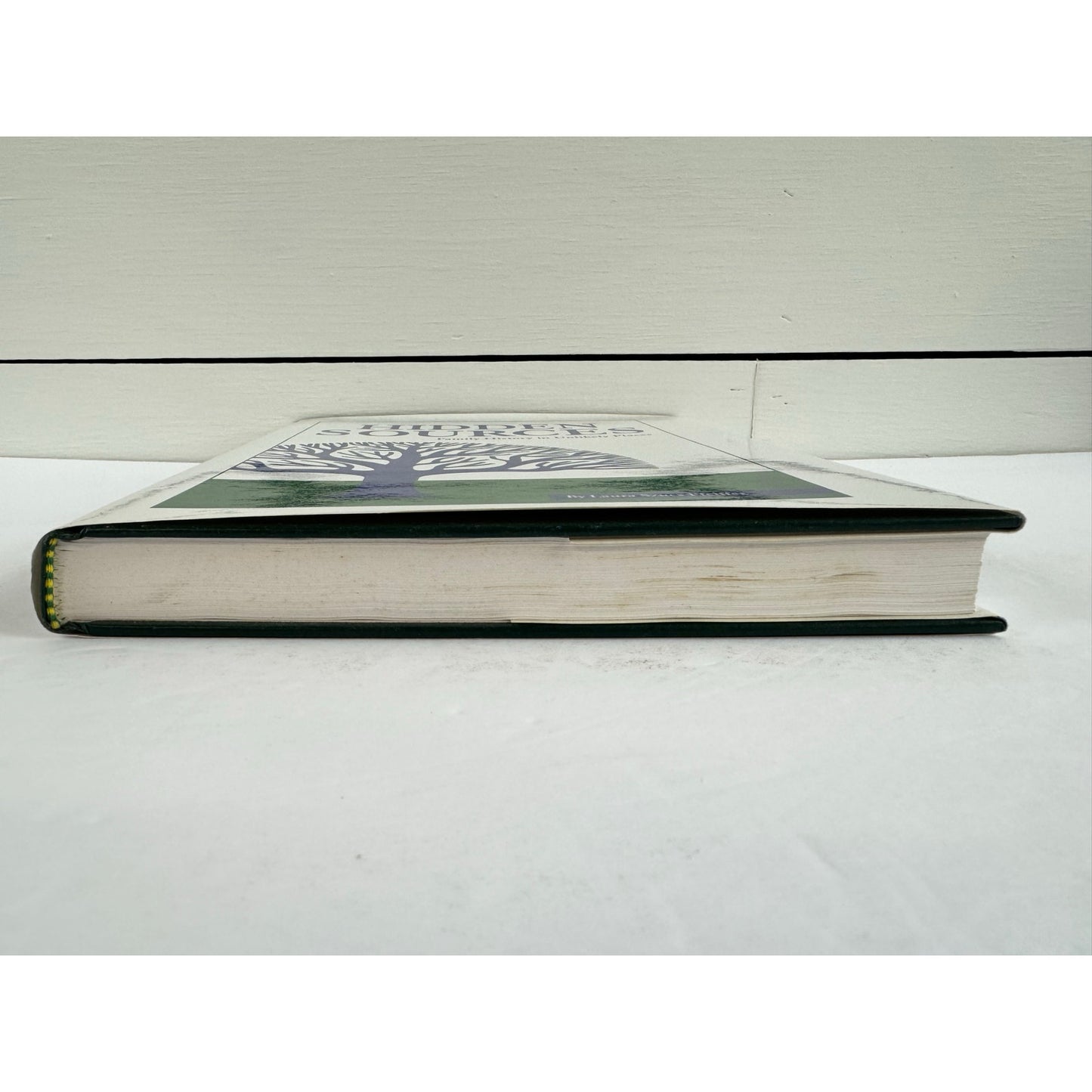 Hidden Sources: Family History in Unlikely Places by Laura Szucs Pfeiffer (Hardcover)