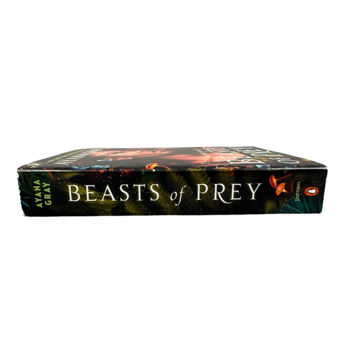 Beasts of Prey by Ayana Gray (Paperback)