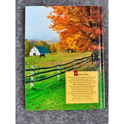 A Year in the Country by Linda Piepenbrink (Hardcover)