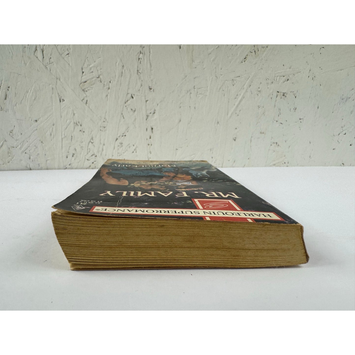 Mr. Family by Margot Early (Paperback)