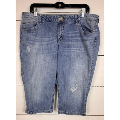 Arizona Denim Shorts Women's Size 19