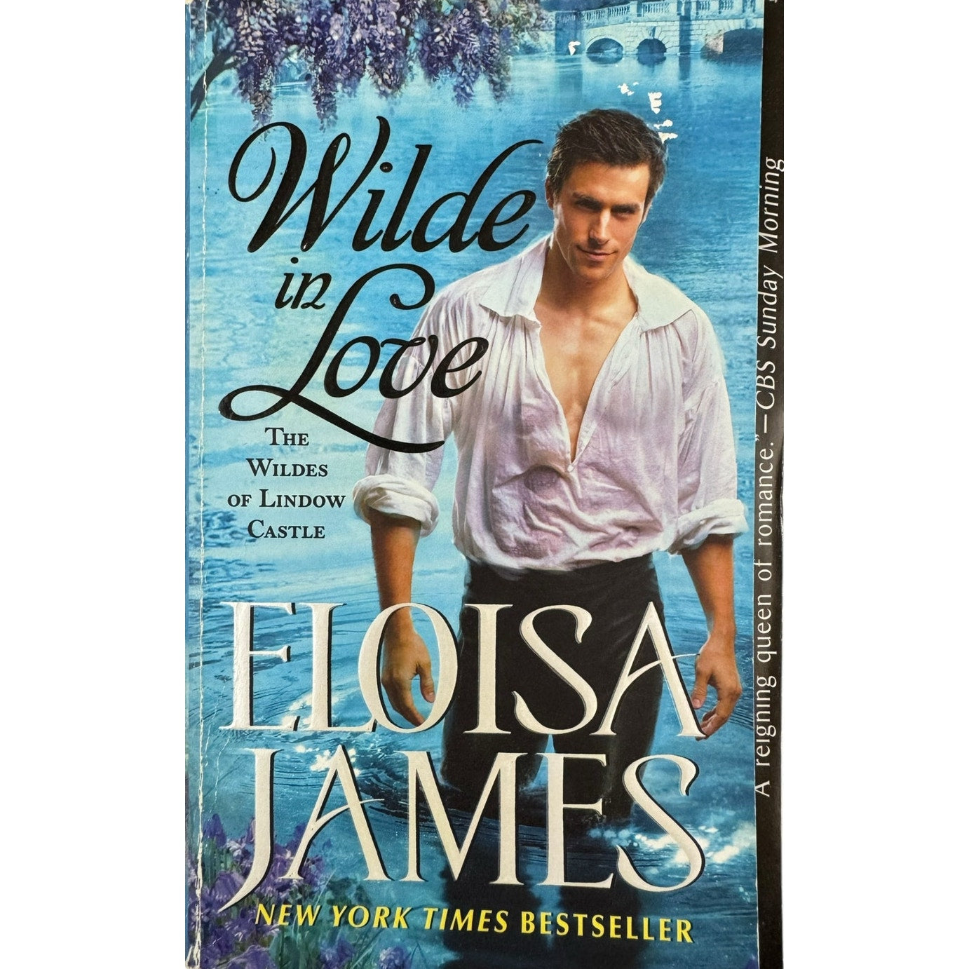 Wilde in Love by Eloisa James (Paperback)