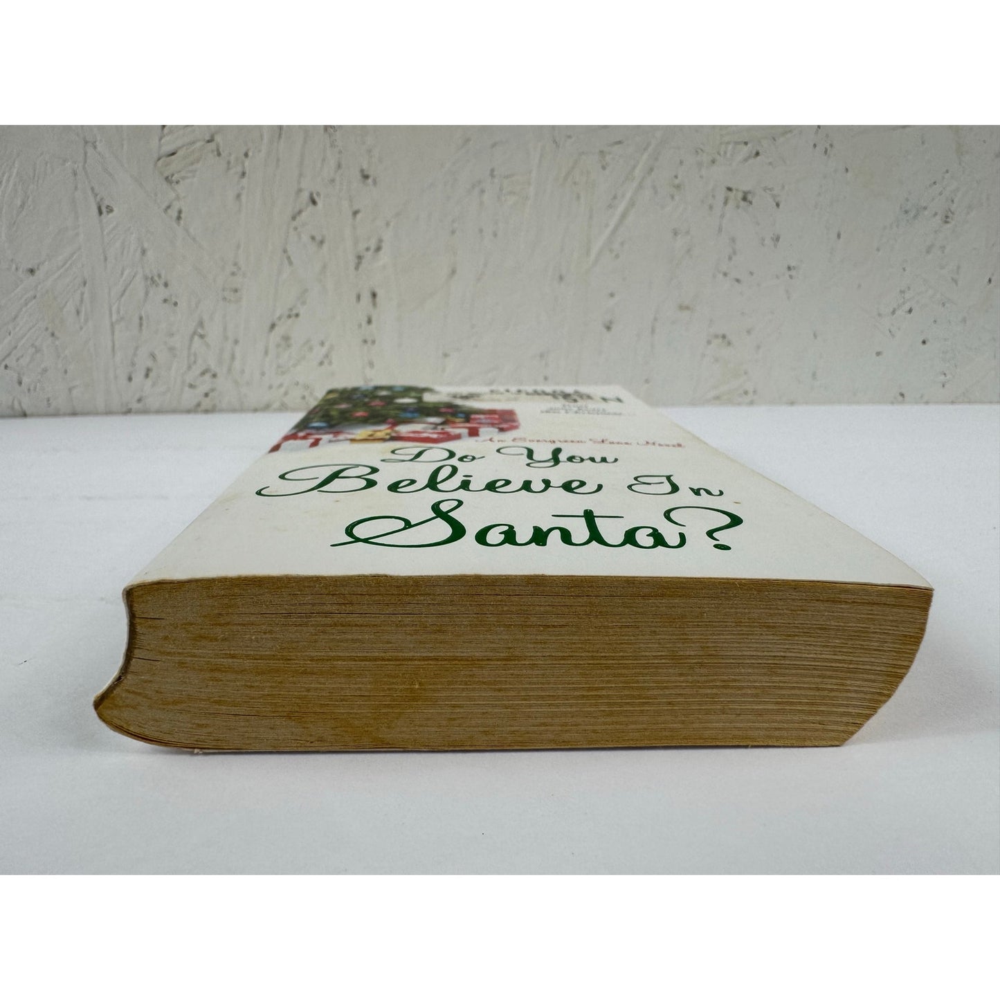 Do You Believe in Santa? by Sierra Donovan (Paperback)