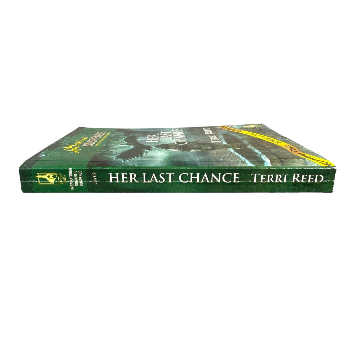 Her Last Chance by Terri Reed (Paperback)