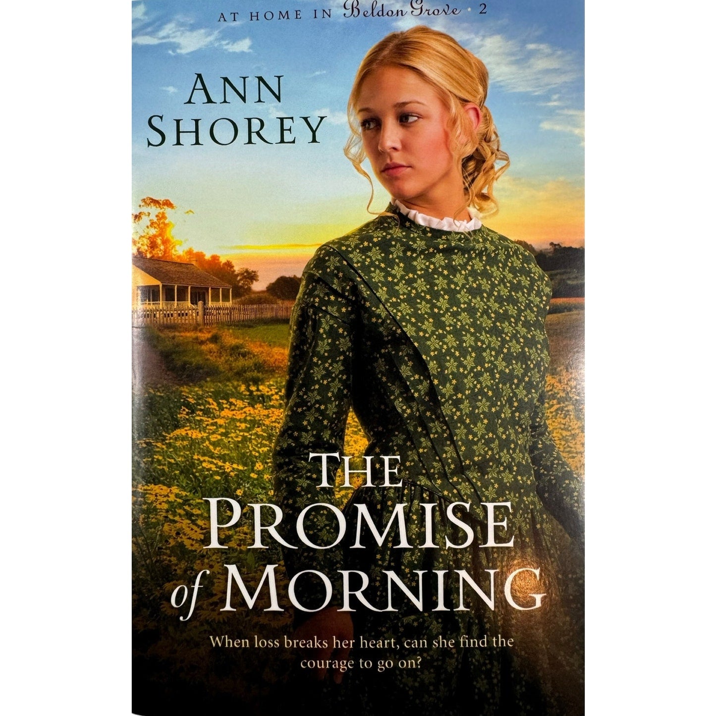 The Promise of Morning by Ann Shorey (Paperback)