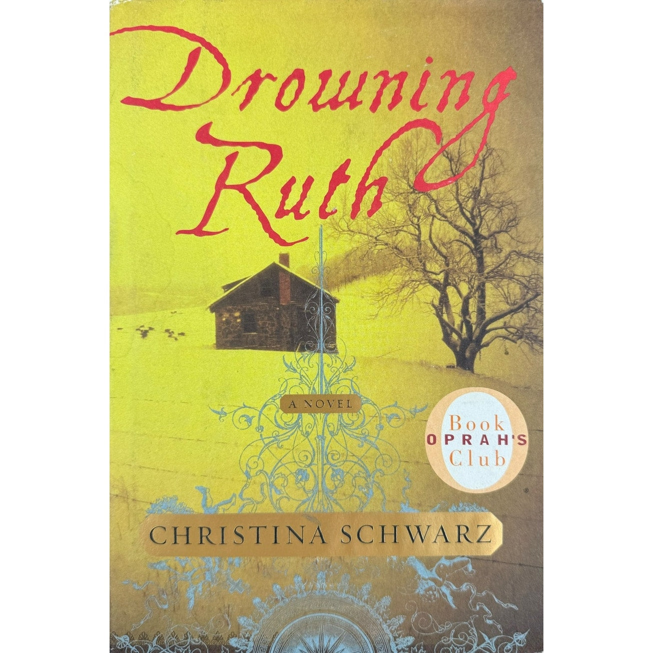 Drowning Ruth by Christina Schwarz (Hardcover)