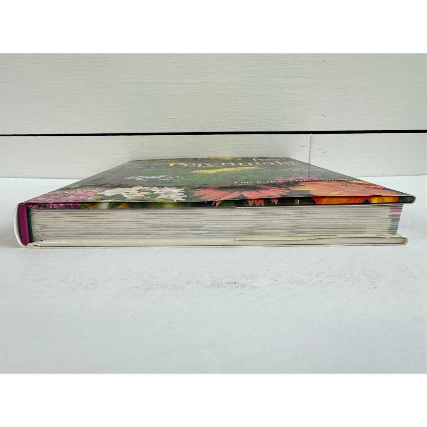 Perennials: The Complete Guide by Sally Roth (Hardcover)