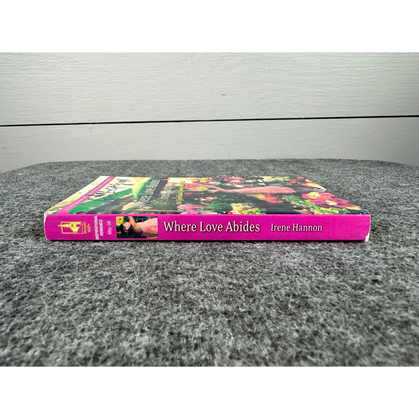 Where Love Abides by Irene Hannon (Paperback)